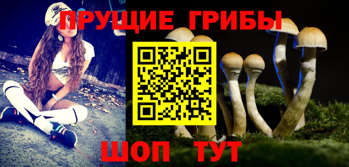 Галлюциногенные грибы GOLDEN TEACHER Жуковский