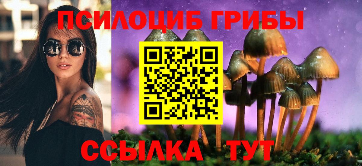 Жуковский  Галлюциногенные грибы Magic Shrooms  Вход с VPN 